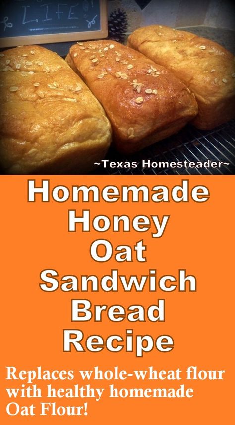 Healthy Soft Honey / Oat Sandwich Bread Recipe. ~ Texas Homesteader ~ Healthy Oat Bread, Oat Flour Yeast Bread Recipes, Oat Flour Bread Machine Recipes, Bread Made With Oat Flour, Oatmeal Flour Bread, Oat Flour Yeast Bread, Recipes Using Oat Flour, Honey Oat Bread Machine Recipe, Oat Bread Recipe No Flour