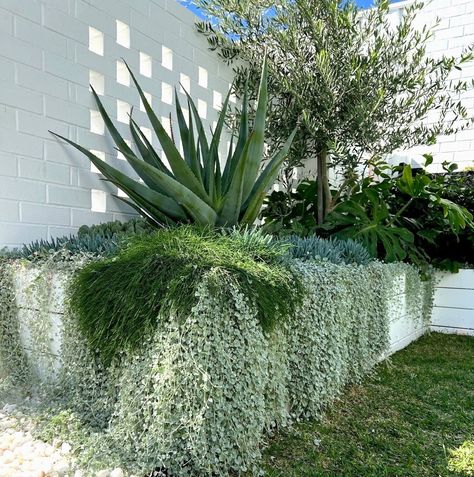 GALLERY — Bonnie Stacey Landscapes