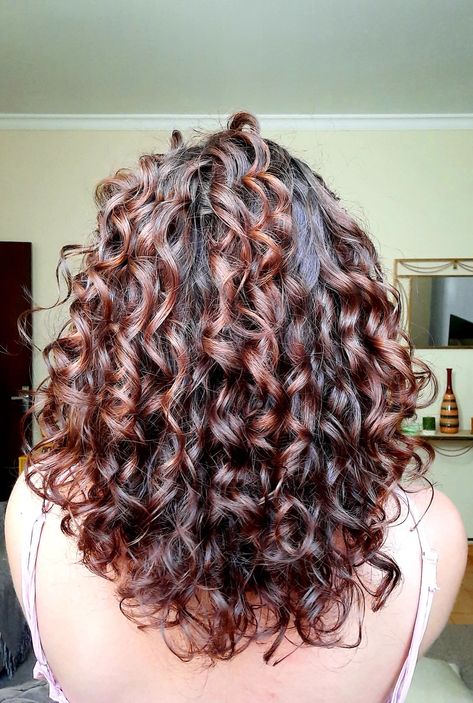 Dimensional Curly Hair Color, Brown With Red Undertones Curly Hair, Curly Hair With Dyed Ends, Curly Hair Lowlights Brown Curls, Curly Lowlights, Curly Red Highlights, Curly Hair Ombre Balayage, Curly Hair Red Highlights, Red Highlights Curly Hair