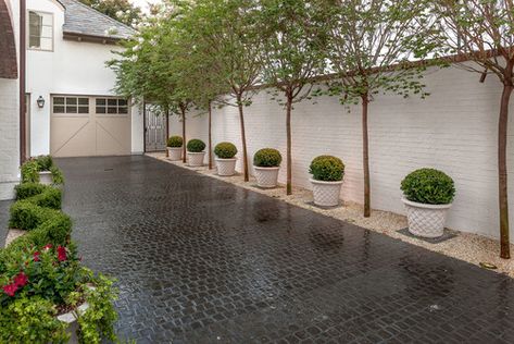 Front Driveway Ideas, Boxwood Topiary, Potted Trees, Home Landscaping, Traditional Landscape, Mosaic Garden, Garden Structures, Foliage Plants, Cool Landscapes