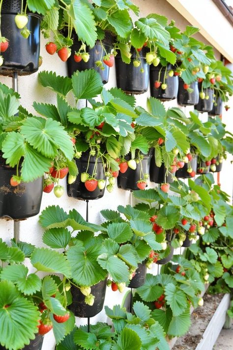 15 Vertical Garden Ideas That Will Make You Believe in Love at First Sight! 💕 Strawberry Fence, Fence Vertical Garden, Vertical Strawberry Planter, Cinderblock Wall, Indoor Garden Design, Garden Station, Vertical Garden Ideas, Gardening For Dummies, Garden Vertical