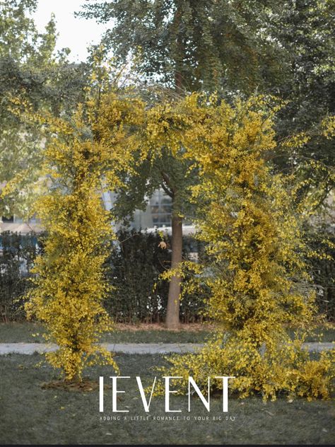 Yellow Floral Installation, Yellow Wedding Arch, Yellow White Wedding, Chuppah Decor, Fall Wedding Arches, Yellow Wedding Theme, Wedding Ceiling, Yellow Wedding Flowers, Yellow Theme