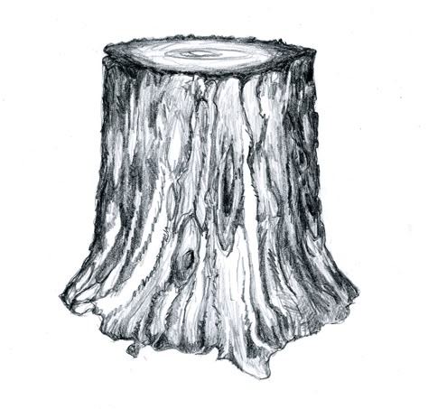 example of a 'cylinder' in nature. June 30th Tree Stump Sketch, Tree Trunk Sketch, Tree Texture Drawing, Tree Stump Drawing, Log Reference, Log Drawing, Tree Trunk Drawing, Drawn Tree, Tree Textures