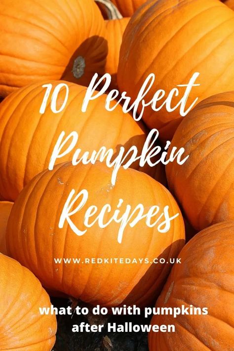 Carving Pumpkin Recipes, Jack O Lantern Recipes, Jack O Lantern Pumpkin Recipes, What To Do With Pumpkins After Halloween, What To Do With A Pumpkin, Pumpkin Recipes With Real Pumpkin, What To Do With Pumpkins, Healthy Filling Breakfast, Spicy Pumpkin Soup