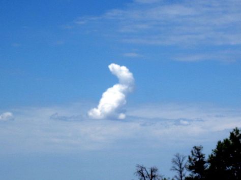 Front yard dreaming Clouds From Below, Clouds That Look Like Animals, Dramatic Clouds, Cloud Giant Castle, Angel Sightings, Blue Sky No Clouds, Rabbit Art, The Mountain, Good News