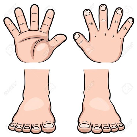 Fingers and toes Finger Cartoon, Body Parts For Kids, Cartoon Hands, Body Parts Preschool, Feet Drawing, Bahasa China, Hand Clipart, Drawing Tutorial Easy, Drawing Cartoon