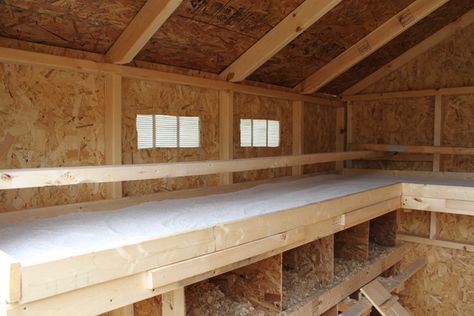 Nesting Boxes Under Roost, Poop Pictures, Roosting Bars, Chicken Roost, Chicken Shed, Chicken Poop, Chicken Coup, Chicken Tractors, Coop Ideas