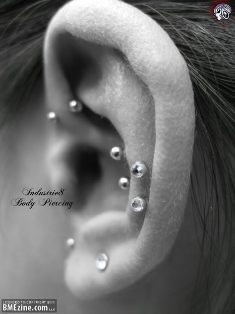 Getting this! Glam Punk, Snug Piercing, Cute Ear Piercings, Body Piercings, Body Modifications, Piercing Tattoo, Creative Tattoos, Tragus, Body Mods