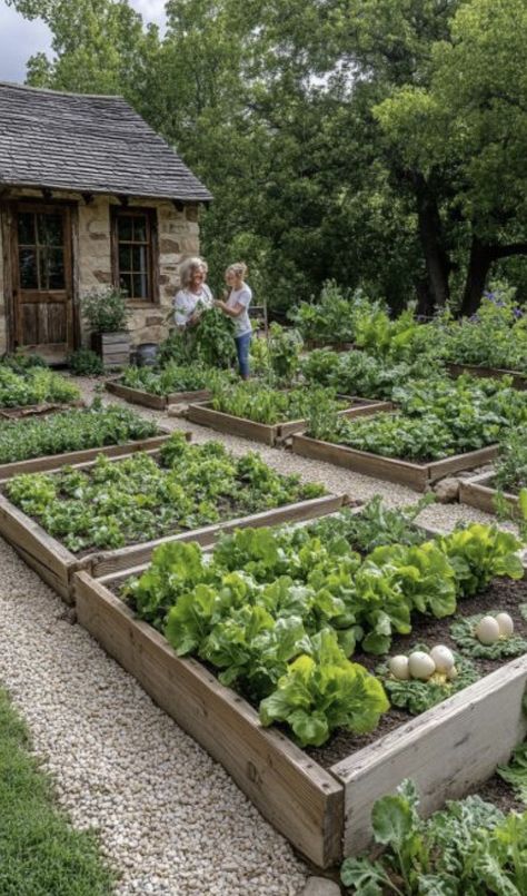 Home Vegetable Garden Aesthetic, Small Farming Ideas, Home Veggie Garden Aesthetic, Homestead Garden Aesthetic, Townhouse Vegetable Garden, Louisiana Vegetable Garden, Small Family Farm, Home Grown Food, Self Sufficient Farm