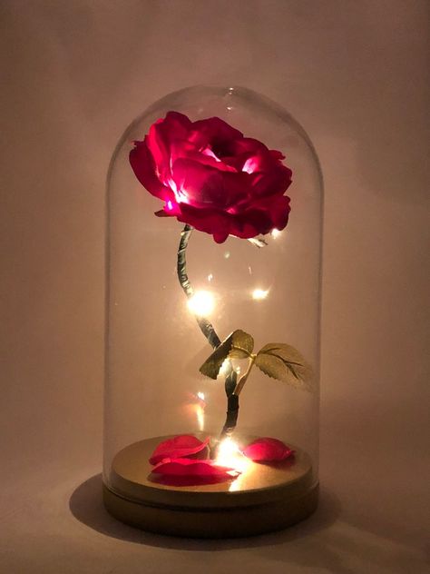 Enchanted Rose Beauty and the Beast Rose Anniversary | Etsy Rose Beauty And The Beast, Beauty And The Beast Rose, Rose Dome, Rose In A Glass, Birthday Lights, Enchanted Rose, Flower Lamp, Forever Rose, Décor Boho