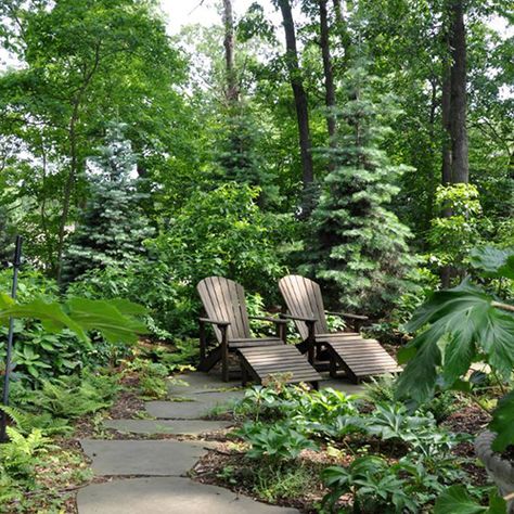 Design School: Creating Shady Garden Nooks – Grow Beautifully Garden Nooks, Shady Garden, Shade Garden Design, Garden Nook, Climbing Hydrangea, Leafy Plants, Shade Trees, Woodland Garden, Design School