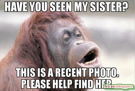 20 Totally Funny Sister Memes We Can All Relate To | SayingImages.com Brother And Sister Memes, Funny Sister Memes, Funny Brother Quotes, Sister Meme, Brother Sister Quotes Funny, Sister Jokes, Brother Memes, Siblings Funny Quotes, Sibling Memes