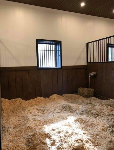 Horse Stall Interior, 2 Horse Stable, Modern Horse Stable Design, Forest Oaks Equestrian, Modern Stables, Horse Stable Aesthetic, Stable Layouts, Vogue Lifestyle, Luxury Horse Barns