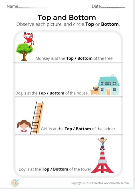 Free Worksheets Top and Bottom - creativeworksheetshub Top Bottom Worksheet, Class 1 Maths, Speech Therapy Worksheets, Worksheets For Class 1, Phonics Reading Passages, Fun Worksheets For Kids, Kindergarten Phonics Worksheets, Preschool Programs, Grammar For Kids