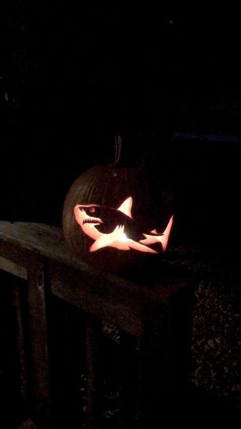 Shark Pumpkin Carving, Shark Pumpkin, Shark Carving, Carved Pumpkin, Shark Lover, Pumpkin Faces, Pumpkin Carving, Halloween Decor, Pumpkins