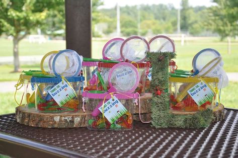 Awesome favors at a bug birthday party! See more party planning ideas at CatchMyParty.com! Insect Party Favors, Bug Birthday Party Decorations, Bug Party Favors, Natural Birthday Party, Terraria Party, Birthday Party Plates, Ladybug Birthday Party, Hungry Caterpillar Birthday, Ladybug Birthday