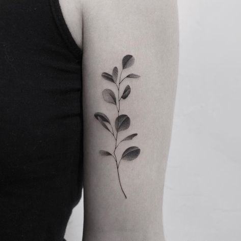 Eucalyptus Tattoo, Tattoo Types, Botanical Tattoo Design, First Time Tattoos, Minimal Tattoos, Leaf Tattoo, Dotwork Tattoo, Mushroom Tattoos, Vine Tattoos