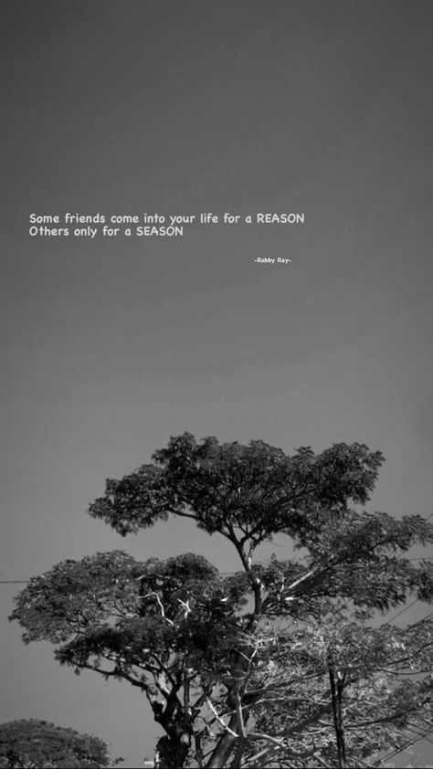 Friends For A Reason Season Lifetime, Friends For A Season Quotes, Reason Quotes, Season Quotes, Really Good Quotes, Some Friends, We Are Together, Friends Are Like, Reminder Quotes