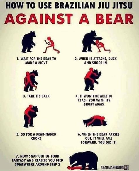 Canadian Memes, Bjj Memes, Jiu Jutsu, Bear Meme, Jiu Jitsu Memes, Bear Attack, Ju Jitsu, Bear Pictures, Sports Memes