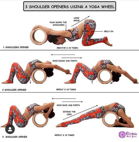 Yoga Wheel Exercises, Wheel Pose Yoga, Dharma Yoga, Yoga Nature, Yoga Wheel, Fitness Home, Yoga Props, Yoga Times, Relaxing Yoga