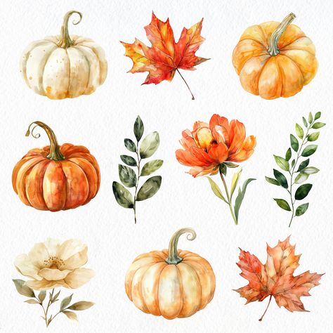 Fall Watercolor Clipart, Fall Watercolor Inspiration, Illustration Stickers Graphics, Fall Flowers Drawing, Autumn Flowers Drawing, Autumn Pottery Painting, Drawing Ideas Autumn, Fall Flowers Painting, Fall Drawing Ideas Autumn