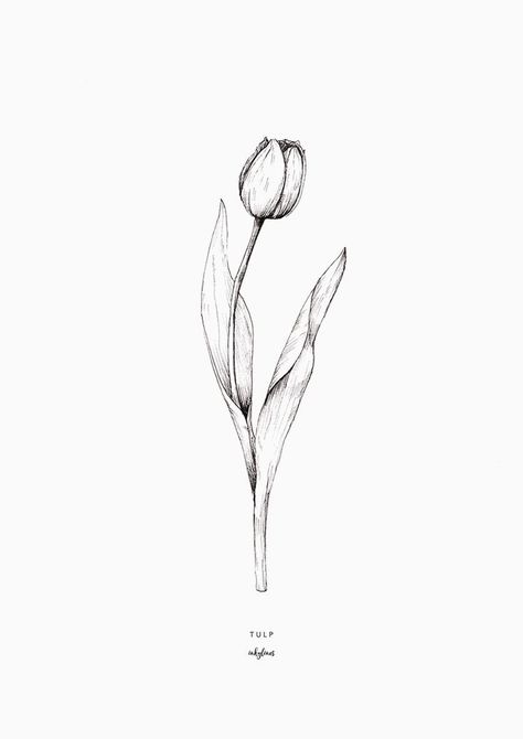 White Ink Tulip Tattoo, 2 Tulip Tattoo, Tulip Flowers Tattoo, Tulip Forearm Tattoo, Tulip Tatoos Ideas, Tulip Back Tattoo, Spring Flower Tattoo, Spring Tattoo Ideas, Tulips Tattoo Design