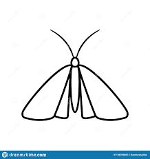 Moth Outline, Puriri Moth, Butterfly Stencils, Moth Drawing, Moth Species, Art Butterflies, Butterfly Outline, Butterfly Stencil, Outline Illustration