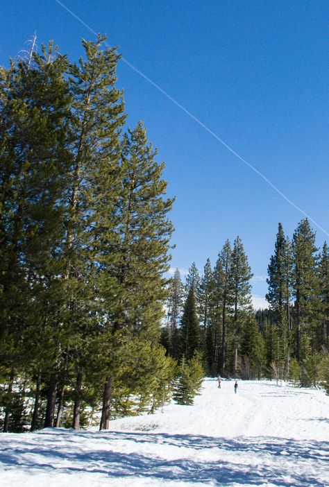 The Perfect Day Trip to Truckee & Donner Lake Donner Lake, Nevada Mountains, Sierra Nevada Mountains, The Perfect Day, Sierra Nevada, Lake Tahoe, Perfect Day, Northern California, Of Course