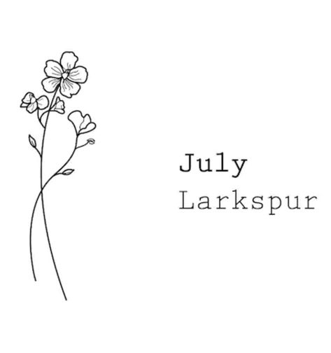 Small Larkspur Tattoo Simple, Larkspur Line Tattoo, Fineline Larkspur Tattoo, Larkspur Drawing Simple, Small Larkspur Tattoo, Larkspur Flower Drawing Simple, Larkspur Fine Line Tattoo, Lakespur Flower Tattoo, Larkspur Tattoo Simple