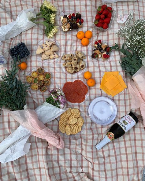 Picnic Necessities, Picnic Rug Aesthetic, Picnic Blankets, Picnic Blanket Aesthetic, Picnic Blanket Background, Quilted Picnic Blanket, Cute Picnic Blankets, Checkered Picnic Blanket, Red Picnic Blankets