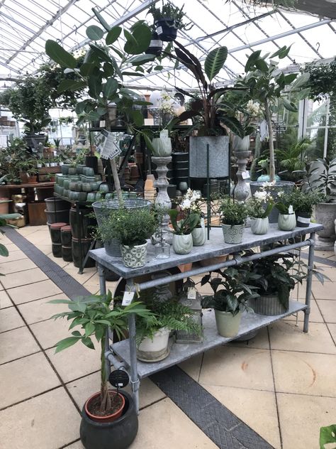 Plant Shop Lighting, Horticulture Major Aesthetic, Plant Shop Interior, Romanticising Your Life, Pottery Studio Greenhouse, Houseplant Workshop, Greenhouse Work Bench Plant Depot, Appreciate The Small Things, Period Box