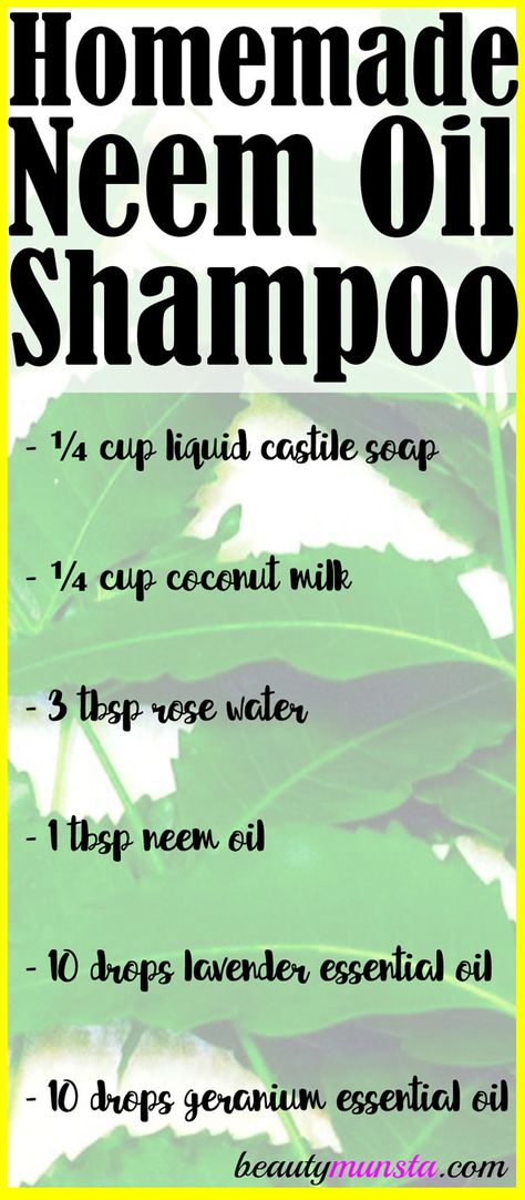 Learn how to make shampoo with neem oil in this article! Neem oil is something amazing for treating scalp conditions and hair problems. It is medicinal in nature and contains many healing nutrients. It is a plant oil extracted from the ripe fruits and seeds of the Neem tree. This medicinal oil has strong anti-inflammatory, … Neem Oil Recipes, Neem Oil For Hair, Make Shampoo, Neem Oil Soap, How To Make Shampoo, Natural Beauty Hacks, Neem Tree, Medicinal Oils, Teeth Whitening Homemade