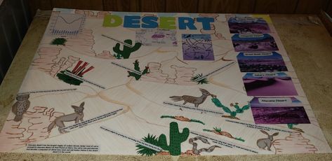 Kids Biology Desert Biome Poster Biome Poster Project, Biome Project, Desert Project, Biology Project, Biomes Project, Desert Biome, 2023 School, Biology Projects, Biome