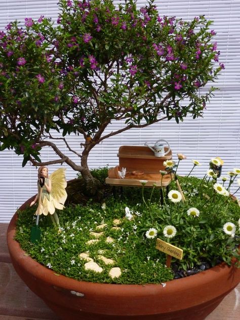 Fairy Garden featuring a Cuphea Tree Dish Gardens, Kaktus Dan Sukulen, Bonsai Ideas, Plant Party, Fairy Garden Designs, Faeries Gardens, Mini Fairy Garden, Fairy Tree, Fairy Garden Houses