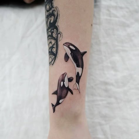 Orcas. Orca Whale Tattoo, Killer Whale Tattoo, Targaryen Tattoo, Tattoo Zone, Orca Tattoo, Pink Rose Tattoos, Tatuagem Masculina Pequena, Whale Tattoo, Nice Tattoos