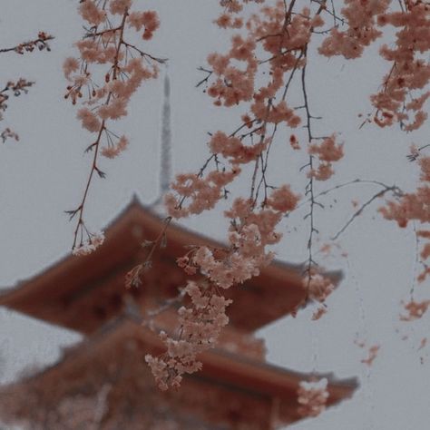 Heizou Aesthetic, Honkai Aesthetic, Inazuma Aesthetic, Aestethic Pictures, Genshin Teapot, Ancient China Aesthetic, Japan Icon, Ancient Korea, Nature Witch