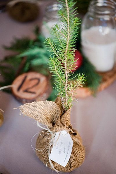 May 12, 2014 - Blow guest's expectations out of the water with fabulously green, homemade, and gorgeously decorative favors. Enchanted Forest Wedding Favors, Woodland Wedding Favors, Diy Place Settings, Plantable Wedding Favors, Eco Friendly Wedding Favors, Tiny Trees, Sowing Seeds, Succulent Favors, Winter Wedding Favors