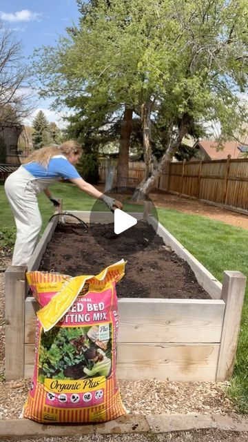 Kelly Radcliff / Lazy Girl’s Garden Club/ Zinnia Lover on Instagram: "I wish I had known this earlier so I’m sharing it with you!!! 👩‍🌾You must amend your soil. I did this before I planted my zinnia seeds in my raised beds. This just means to improve its quality and nutrient content to create an optimal growing environment for your flowers! To prepare my soil I cleaned out the old debris, mixed in some all natural raised bed and potting mix that was organic and gave it a good watering. That’s it! Make sure to grab my free zinnia zone guide linked in my bio above! #amendyoursoil #raisedflowerbeds #raisedflowerbedtips #soiltips #zinnia #zinniasofinstagram #zinniasfromseed #gardenhack #gardentips #growflowers #cutflowergarden" Raised Zinnia Beds, Zinnia Seeds, Raised Flower Beds, Cut Flower Garden, Lazy Girl, Garden Club, Raised Bed, I Wish I Had, Growing Flowers