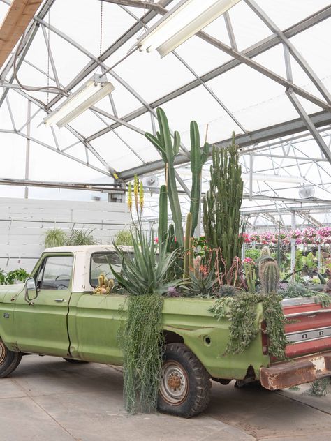 save the date + start planning your summer road trip → the cactus show is happening June 30th here in the greenhouse 🌵 // more details on the way Cactus Greenhouse, Home Vegetable Garden Design, Cactus Farm, Porch Styles, Backyard Greenhouse, Succulents In Containers, Vegetable Garden Design, Home Vegetable Garden, House Plants Decor