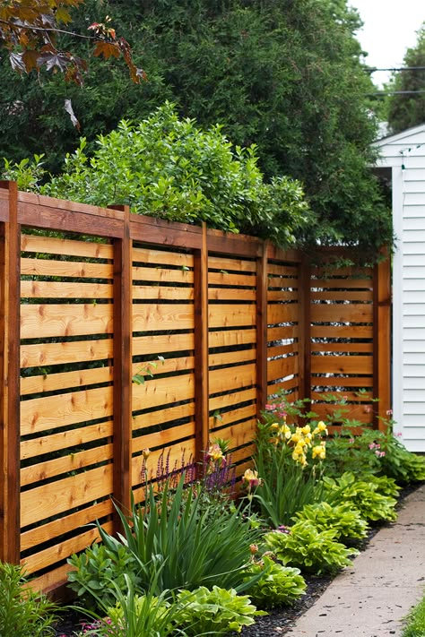 Privacy Fence Decorations, Cheap Privacy Fence, Pagar Modern, Yard Privacy, Diy Privacy Fence, Garden Fences, Privacy Fence Designs, Privacy Landscaping, Backyard Fence