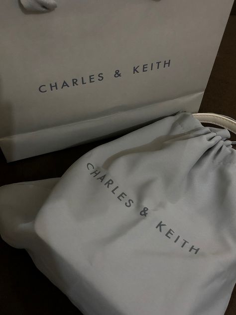 Charles And Keith Aesthetic, Charles And Keith Bags, Businesses Ideas, Charles And Keith, Dp Whatsapp, Luxury Bags Collection, Instagram My Story, Workout Pictures, Cool Instagram Pictures