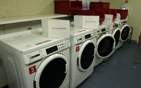 Who is pooping in Yale University dryers? A dirty laundry mystery -- The culprit has been dubbed the “poopetrator” and is being blamed for at least four incidents in the past month in the laundry room at Saybrook College. College Laundry, Clothes Dryer, Yale University, Dirty Laundry, Dryers, Scene Photo, Laundry Room, Fun Facts, Vision Board