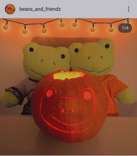 Build A Bear Frog Halloween, Frog Pumpkin Carving, Frog Pumpkin, Frog Pics, Pumkin Carving, Frog Plush, Easy Pumpkin Carving, Frog Pictures, Halloween Pumpkins Carvings