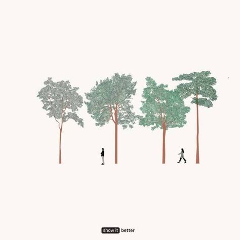 Landscape Architecture Plants, Tree Elevation, Tree Render, Architectural Trees, Human Tree, Plant Drawings, Photoshop Landscape, Human Vector, Photoshop Graphics