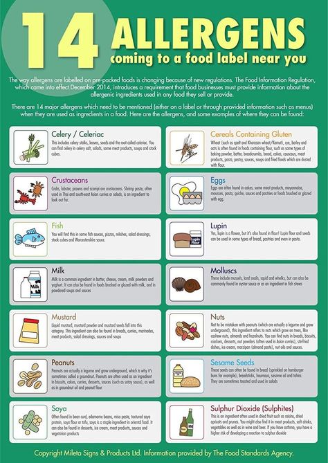 Food Safety Posters, Food Safety And Sanitation, Food Safety Training, Health And Safety Poster, Food Safety Tips, Food Allergies Awareness, Allergy Awareness, Posters Uk, Latex Allergy