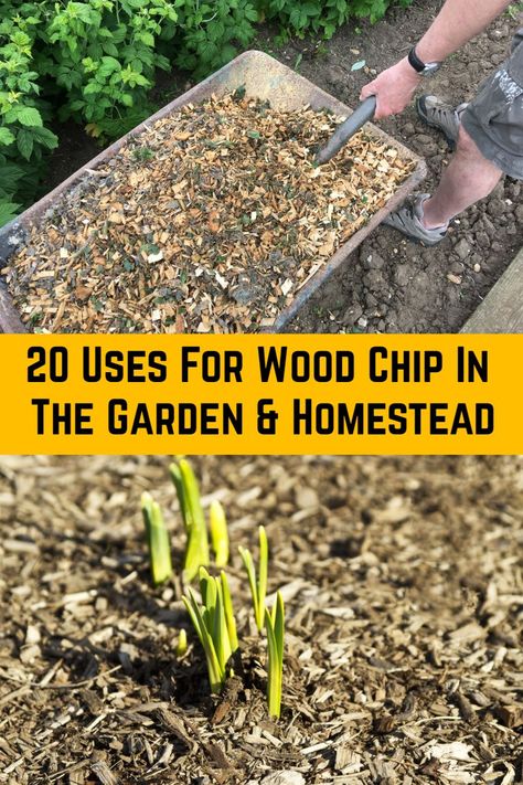 Cedar Wood Chips Landscaping, Wood Chippings Garden Ideas, Woodchips Garden Landscaping, Landscaping With Wood Chips, Wood Chips In Chicken Run, Woodchips Garden Ideas, Wood Chips Landscaping Ideas, Wood Chip Garden, Wood Chip Landscaping