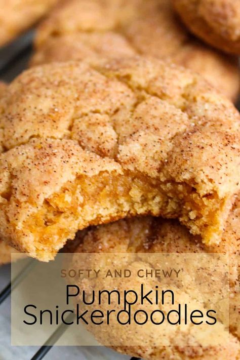 The best and easy Pumpkin Snickerdoodle cookie recipe made with pumpkin pie spice and pumpkin puree. They are quick and delicious. Pumpkin Snickerdoodle Cookie Recipe, Pumpkin Snickerdoodles, Snickerdoodle Cookie, Pumpkin Cookie Recipe, Fall Baking Recipes, Pumpkin Recipes Dessert, Snickerdoodle Cookie Recipes, Pureed Food Recipes, Pumpkin Dessert