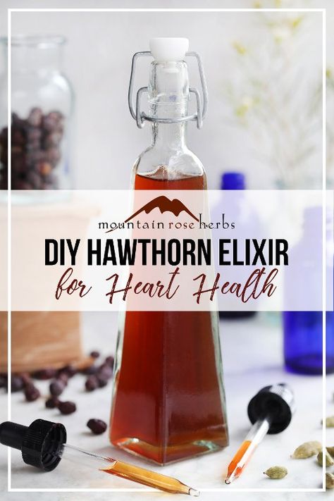 Herb Diy, Tinctures Recipes, Hawthorn Berry, Mountain Rose, Mountain Rose Herbs, Dried Berries, Herbal Tinctures, Herbal Recipes, Herbal Healing