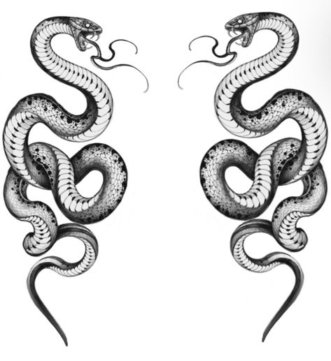 215+ King Cobra Tattoo Ideas (2023) - TattoosBoyGirl King Cobra Tattoo, Cobra Tattoo, Serpent Tattoo, Snake Tattoo Design, Medusa Tattoo, Tatuaje A Color, 강아지 그림, Stomach Tattoos, Head Tattoos