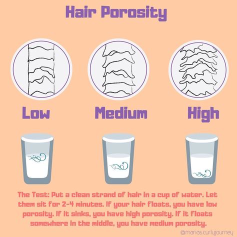 Hair Density Test, How To Find Hair Porosity, Medium Porosity Hair, Glow Up Workout, Hair Porosity Test, Hair Theory, Salon Board, Glow Up Self Care, Hair Content